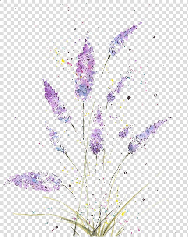 ink fresh and elegant lavender transparent background PNG clipart