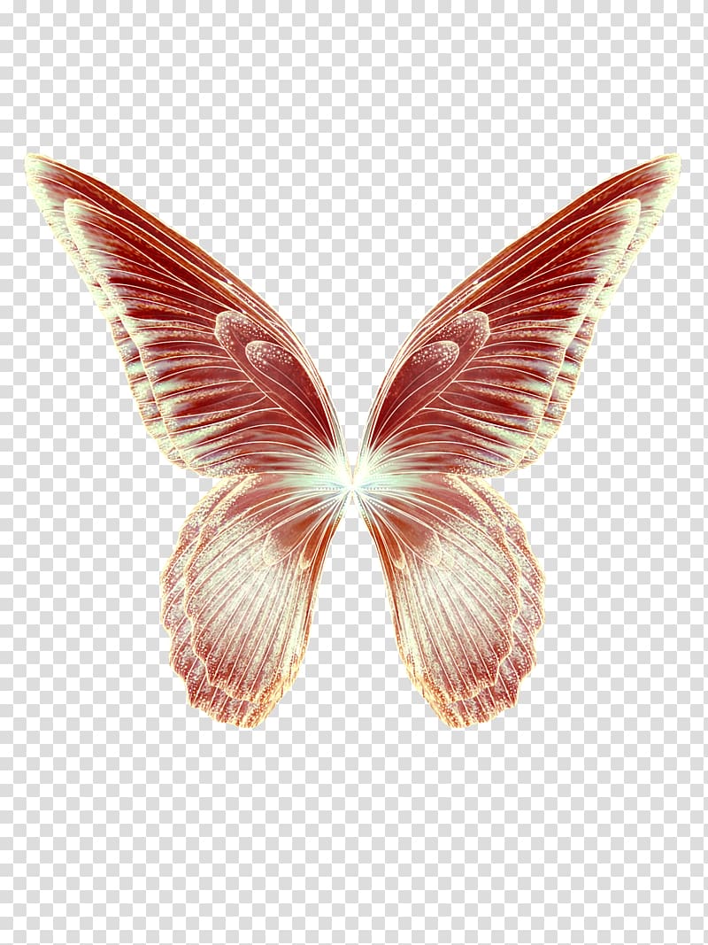 red and white butterfly illustration, Butterfly Wing Feather , Feather paper butterfly,Fantasy Butterfly Wings transparent background PNG clipart