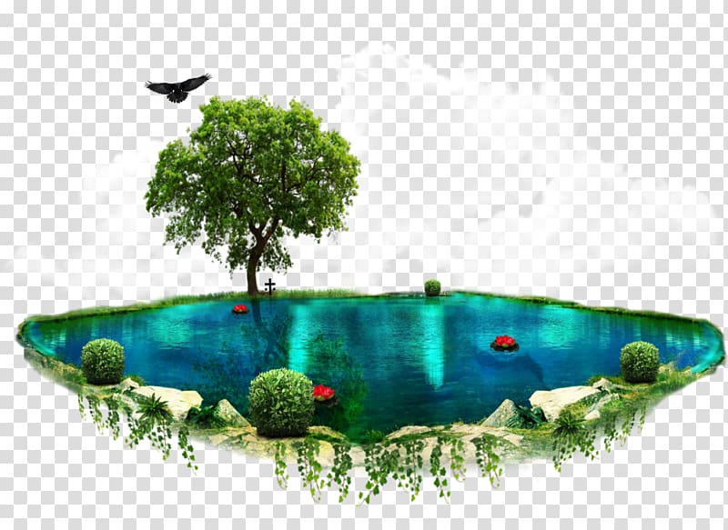 Batam Island Yung Laudoe, others transparent background PNG clipart
