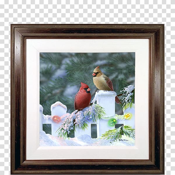 St. Louis Cardinals Northern cardinal Bird Christmas, Bird transparent background PNG clipart