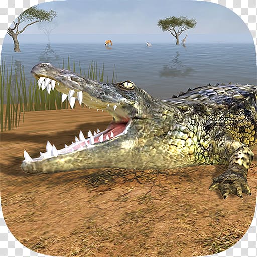 Nile crocodile Crocodile Simulator 2015 Wild Crocodile Simulator 3D, crocodile transparent background PNG clipart