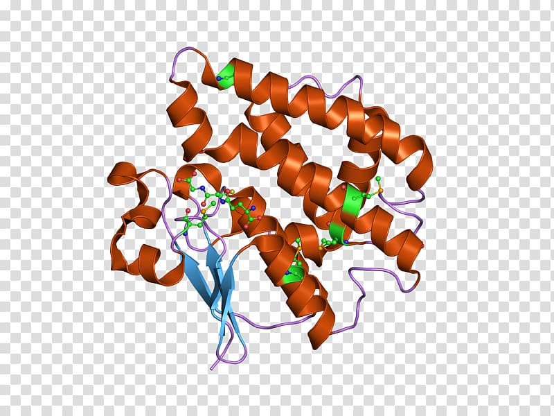 Insulin glargine Glucagon Blood Sugar Protein, blood transparent background PNG clipart