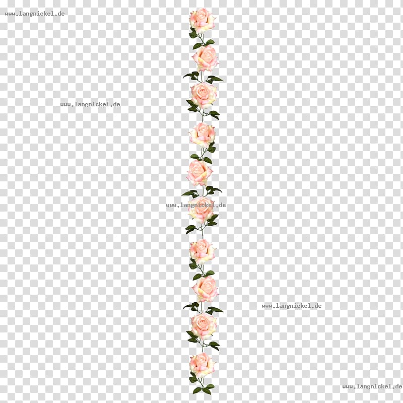 Flowering plant Font, girland transparent background PNG clipart