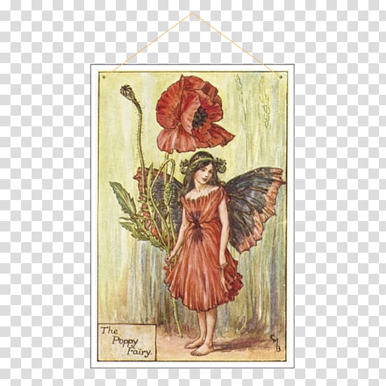 The book of the flower fairies Poppy Painting Illustrator, creeper hang on road floral transparent background PNG clipart