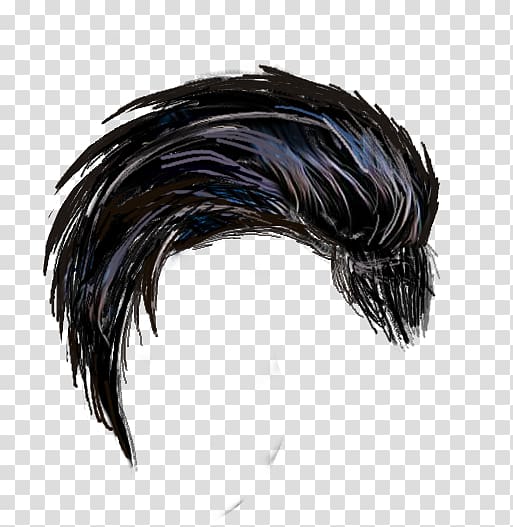 PicsArt Studio Hair editing, drawing hair vulture transparent background PNG clipart