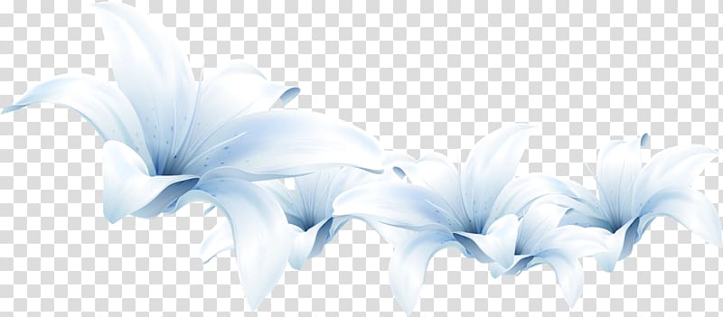 Flower Lilium White, apricot transparent background PNG clipart