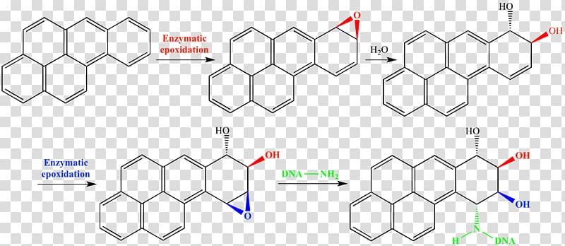 Organic chemistry Chemical structure Chemical synthesis Isoquinoline, Peracetic Acid transparent background PNG clipart