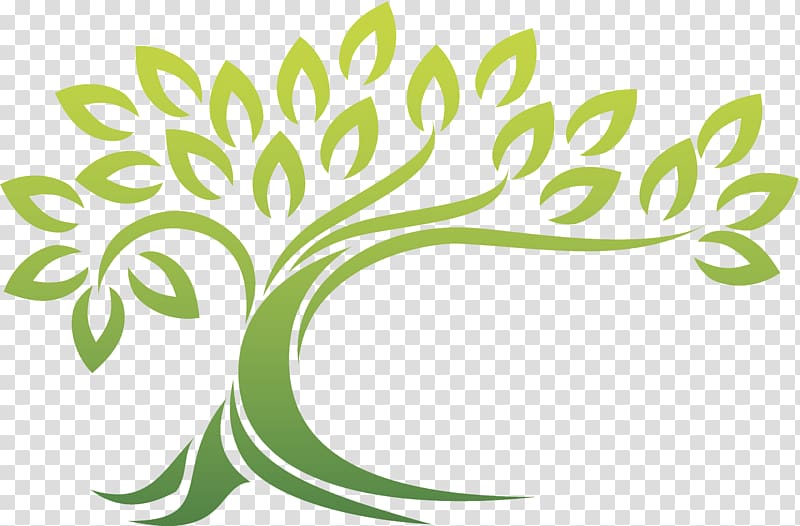 Learning Education Teacher Experience Class, foliage transparent background PNG clipart