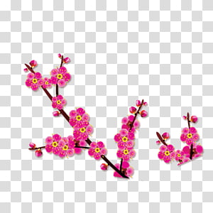 Chinoiserie, Plum flower transparent background PNG clipart thumbnail