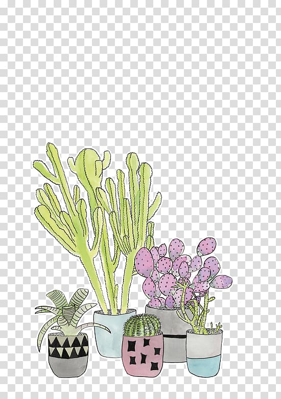 five assorted plants in pots , Cactaceae Succulent plant Header T-shirt, Cartoon cactus succulents transparent background PNG clipart