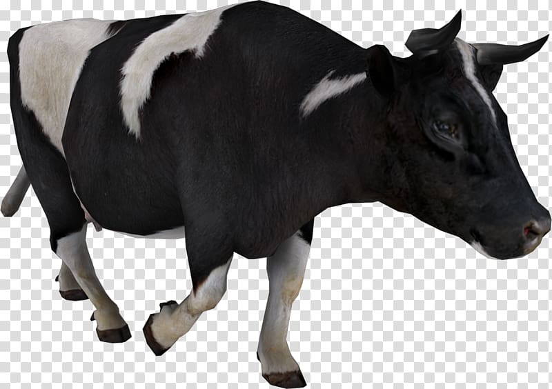 Taurine cattle Baka Portable Network Graphics Zebu, cow face cartoon transparent background PNG clipart