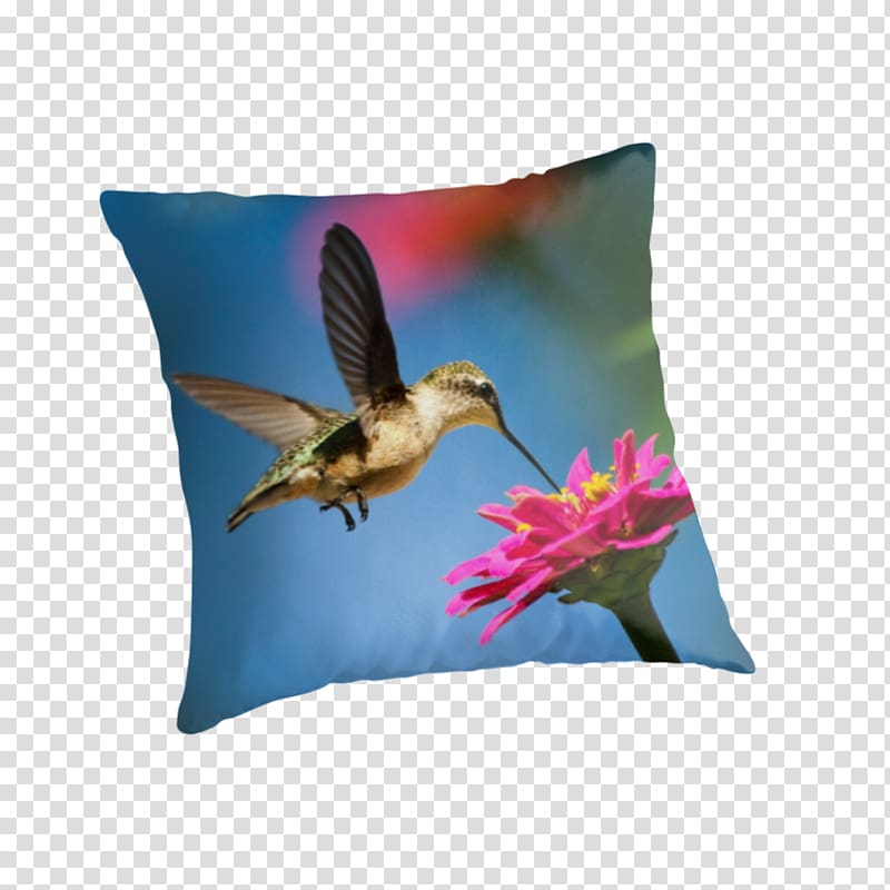 Hummingbird Fine art Acrylic paint, Hummingbird transparent background PNG clipart