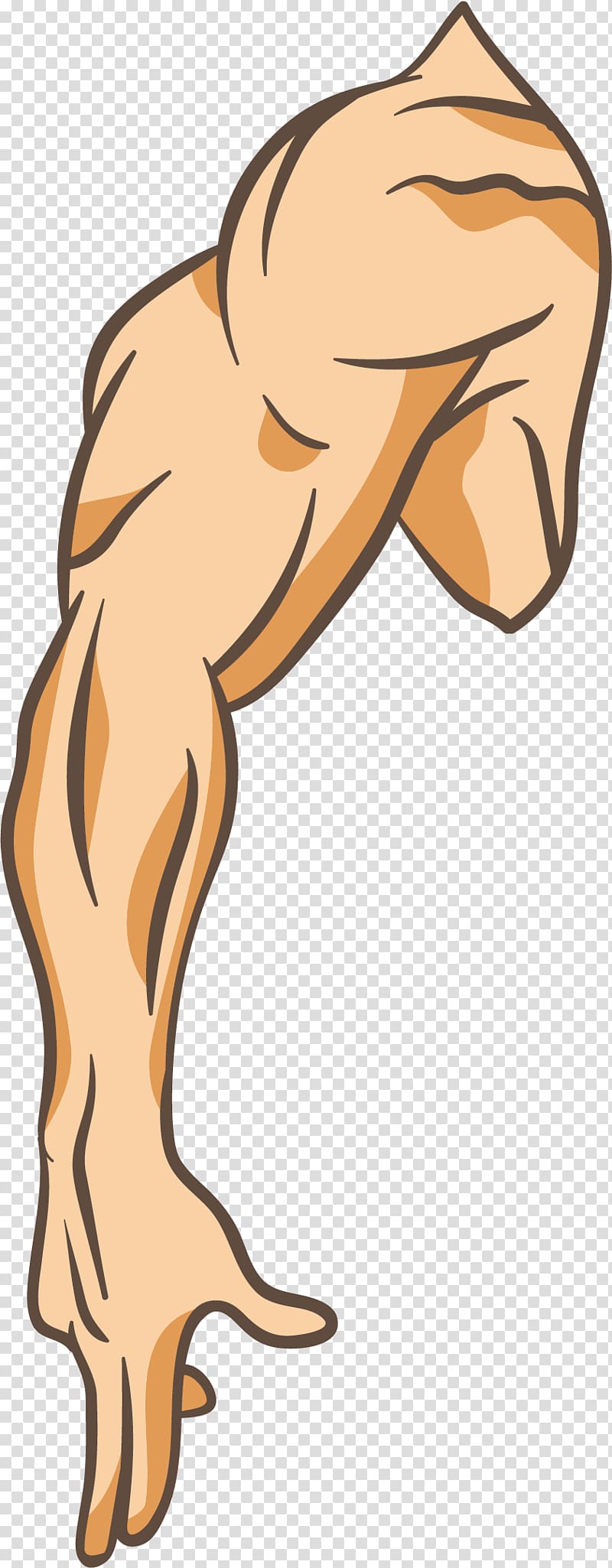 Strong Arm PNG Images, Strong Arm Clipart Free Download