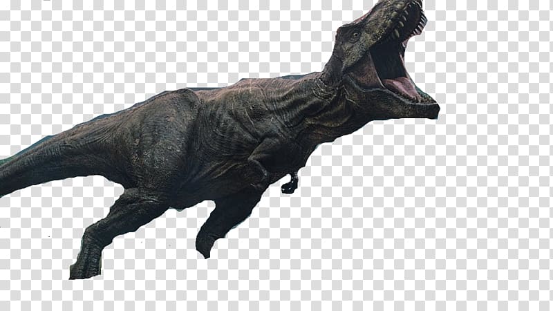 Tyrannosaurus YouTube Jurassic Park Indominus rex Dinosaur, Jurassic World: Fallen Kingdom transparent background PNG clipart