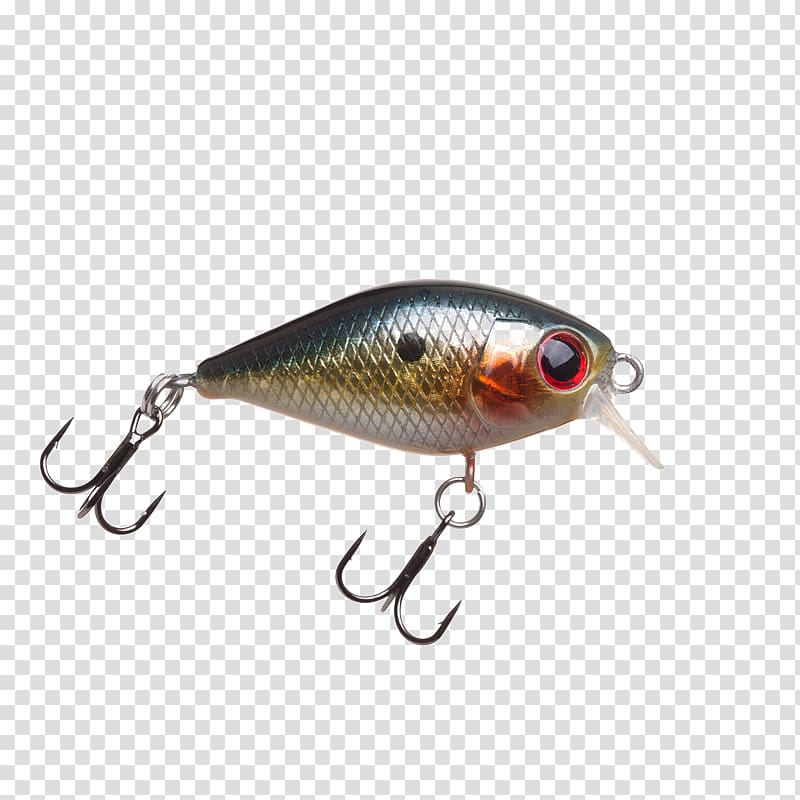 Spoon lure Perch Fish AC power plugs and sockets, float blisters transparent background PNG clipart