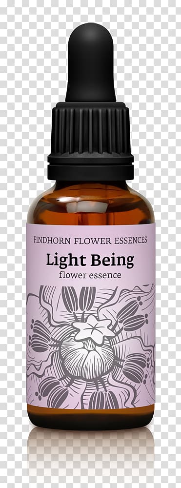 Findhorn Flower Essences Eros Love, light earth transparent background PNG clipart