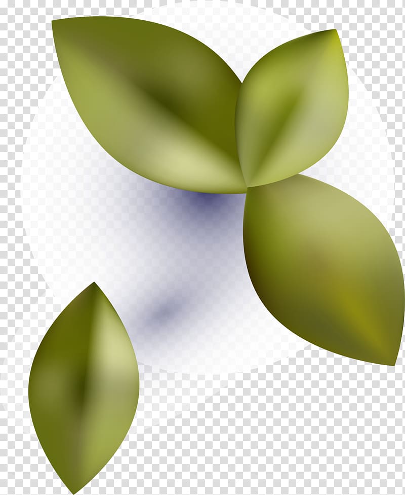 Leaf Green Computer , Fresh green leaves transparent background PNG clipart