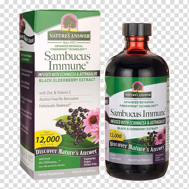 Elder Immune system Nature Extract Dietary supplement, elderberries transparent background PNG clipart