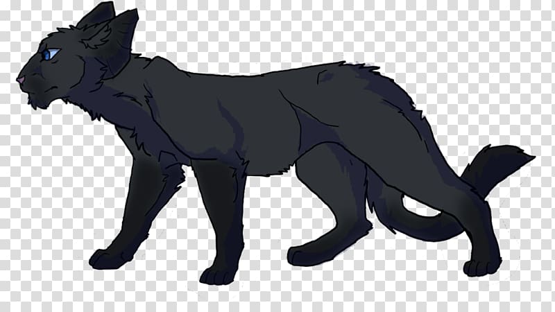 Cat Breezepelt Crowfeather Dog breed, Cat transparent background PNG clipart