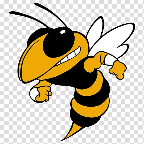 Georgia Institute of Technology Georgia Tech Yellow Jackets football Vespula Bee Hornet, bee transparent background PNG clipart