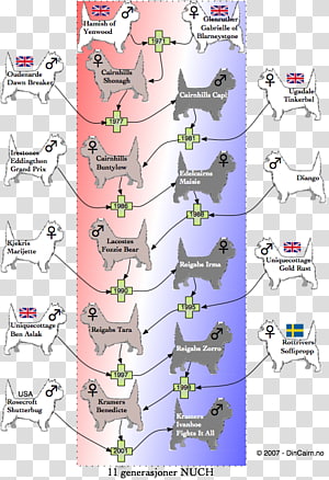 Line Point Angle, line transparent background PNG clipart thumbnail