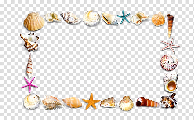 Seashell Border Clip Art Page Border And Vector Graphics