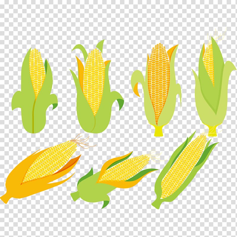 Corn on the cob Maize Corncob Euclidean , corn transparent background PNG clipart