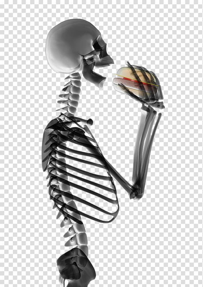 Hamburger Human skeleton Eating , HD hamburgers skeleton figures transparent background PNG clipart