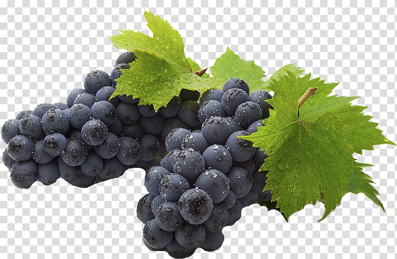 Common Grape Vine Juice Desktop Fruit, grape transparent background PNG clipart