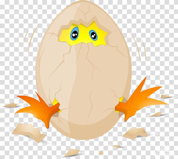 Chicken Egg graphics, chicken transparent background PNG clipart