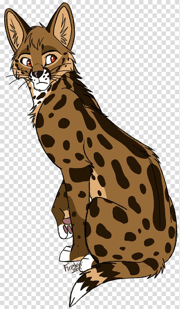 Savannah cat Serval Cheetah Drawing Art, cheetah transparent background PNG clipart