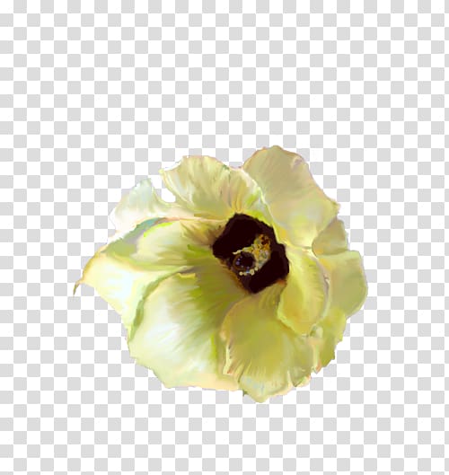 Flat-leaved vanilla Flower Yellow Blossom Petal, okra transparent background PNG clipart