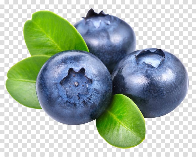 blueberry fruit, Smoothie Frutti di bosco Blueberry Vaccinium angustifolium, Fresh blueberries transparent background PNG clipart