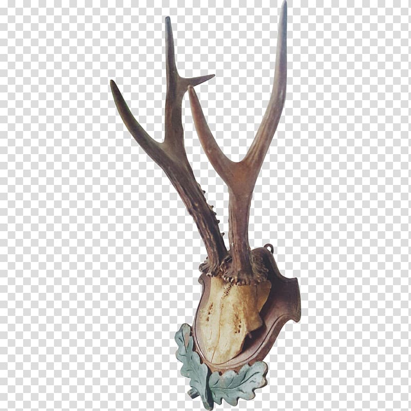 Deer Antler Horn, Antler transparent background PNG clipart