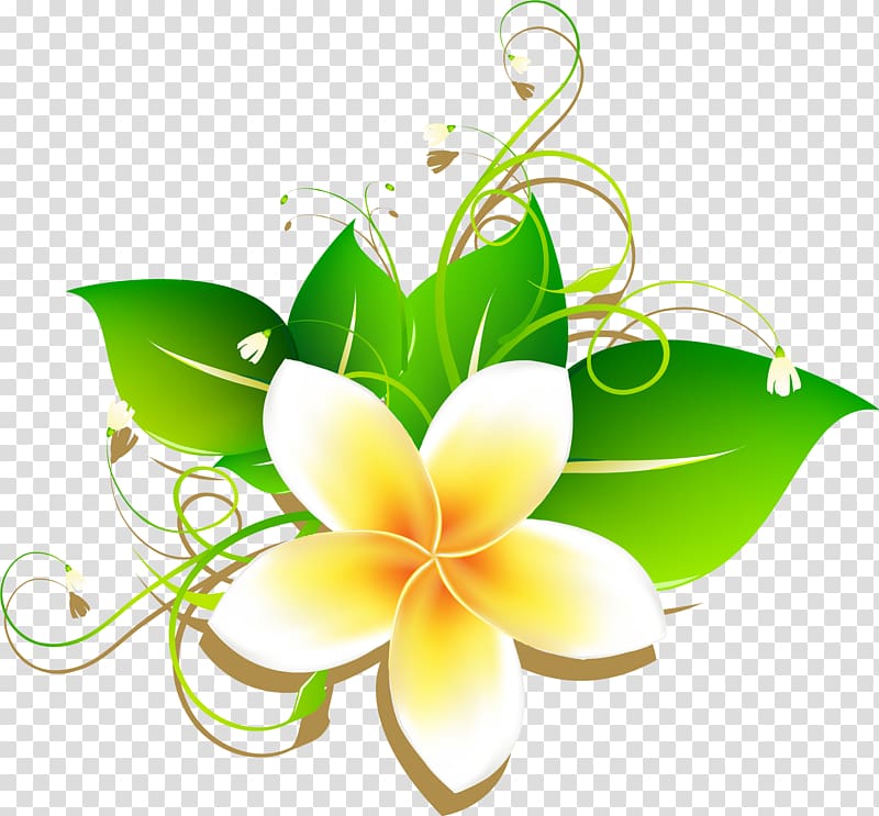 yellow plumeria flower art, Frangipani Drawing, Cartoon egg flower material transparent background PNG clipart