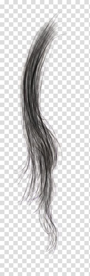 Black hair Hair coloring Brown hair Long hair, hair transparent background PNG clipart