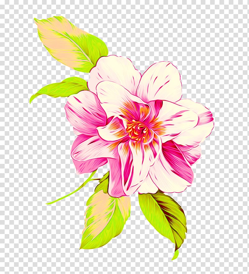 Floral design Moutan peony Illustration, peony transparent background PNG clipart