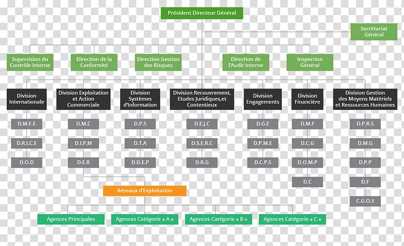 Organizational chart Bank Management Banque Nationale Agricole Banque Nationale D Algerie SpA, bank transparent background PNG clipart