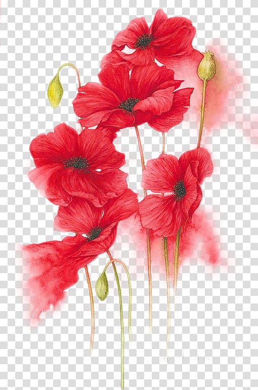 Orange, Red, Yellow Flower Watercolor painting, Hand-painted red flowers illustration, red-petaled flowers painting transparent background PNG clipart