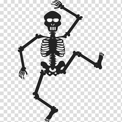 Human skeleton Chiropractic Bone, Skeleton transparent background PNG clipart