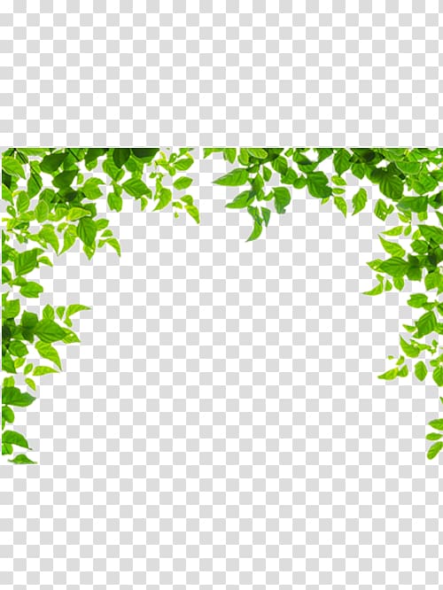 green leaves border transparent background PNG clipart