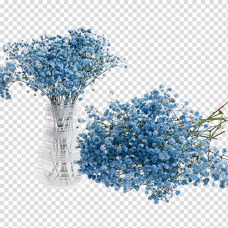 blue stars decoration transparent background PNG clipart