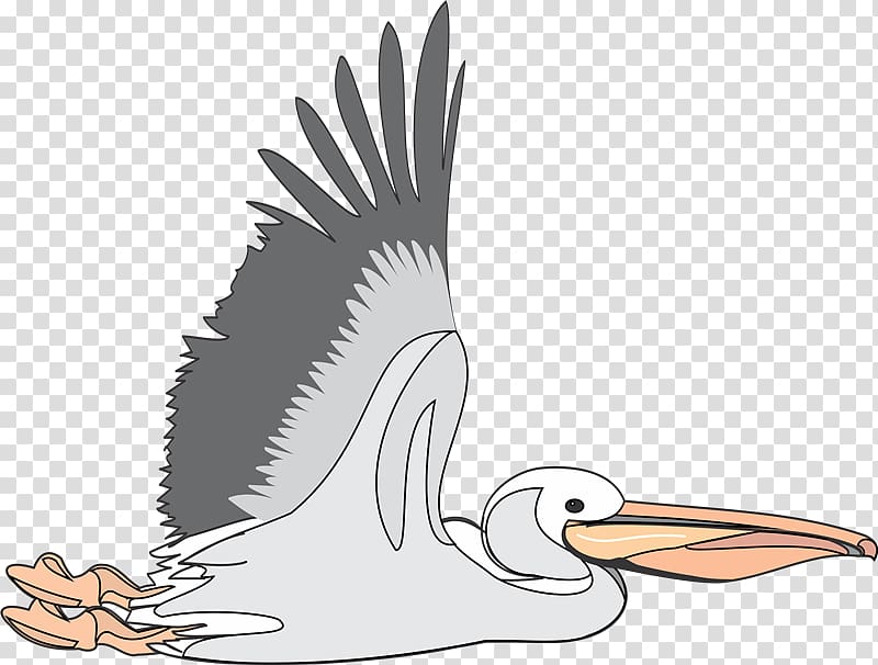 Brown pelican , pv sindhu transparent background PNG clipart