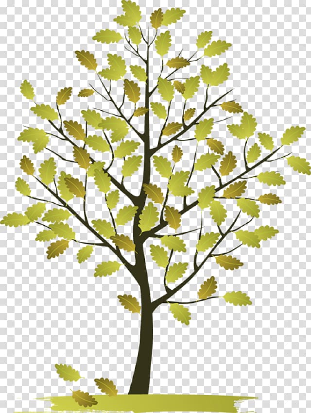 Tree , others transparent background PNG clipart