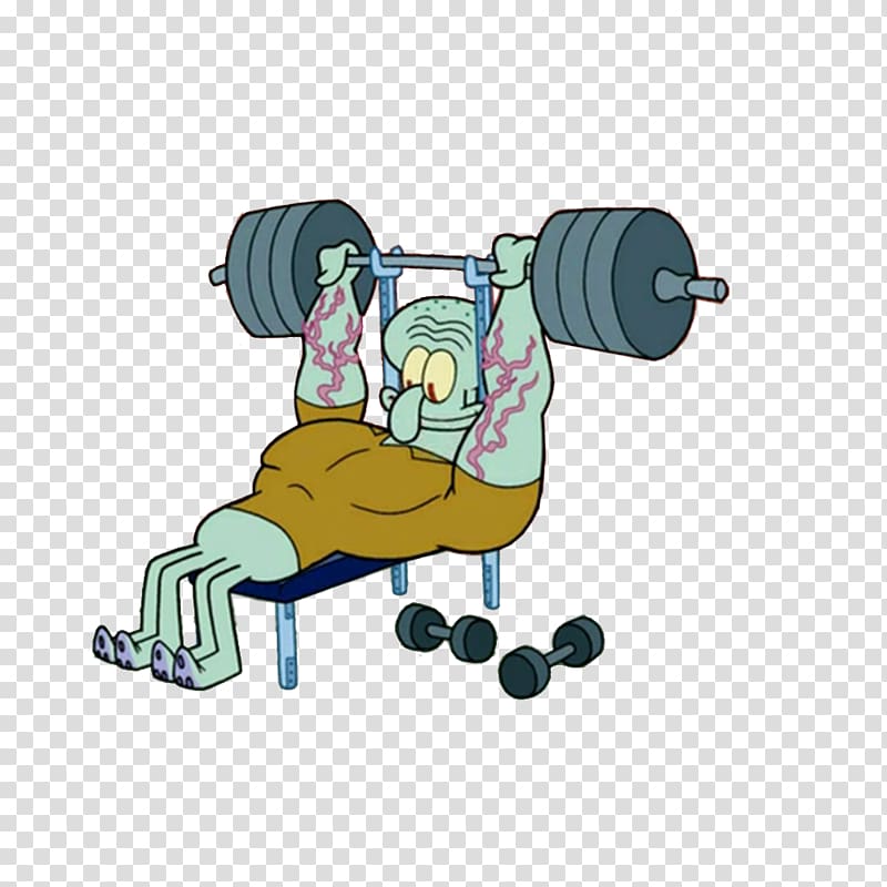 Weight training Olympic weightlifting Bodybuilding Exercise Barbell, bodybuilding transparent background PNG clipart