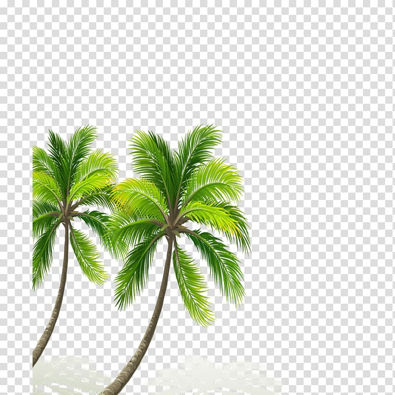 Free download | Two coconut trees illustration, China Mural Coconut ...