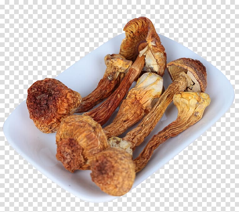 Gutian County Mushroom Jiangxi Ningxia, A dish of dried mushrooms transparent background PNG clipart