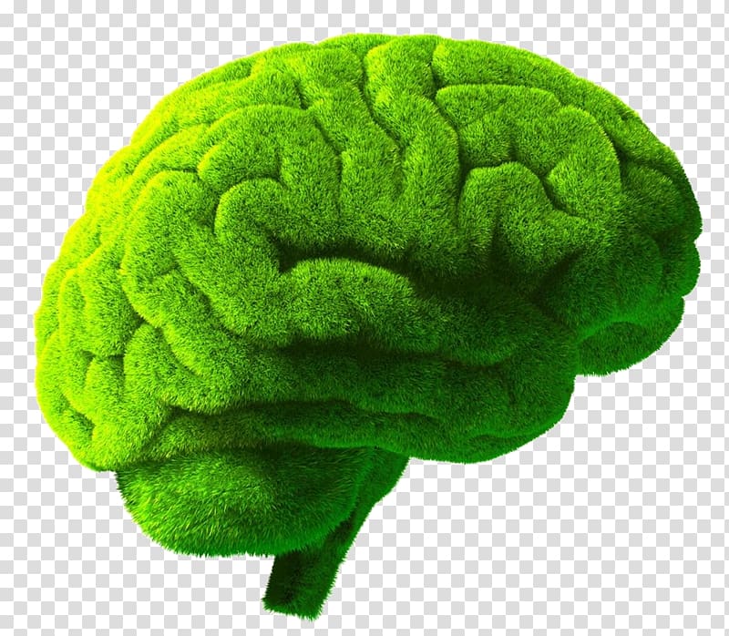 Human brain Green Illustration, Creative human brain transparent background PNG clipart