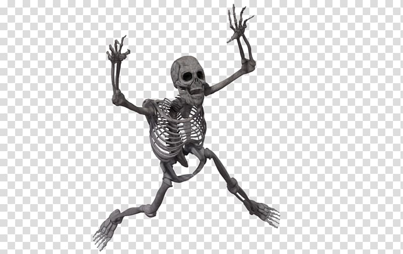 Skeleton transparent background PNG clipart