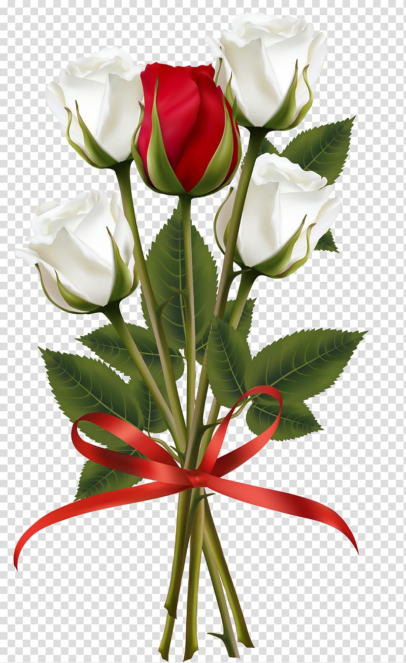 Flower bouquet Rose Red , White and Red Rose Bouquet , white and red roses bouquet illustration transparent background PNG clipart